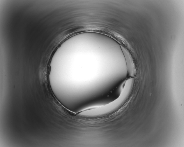 X0000087641177200705311321