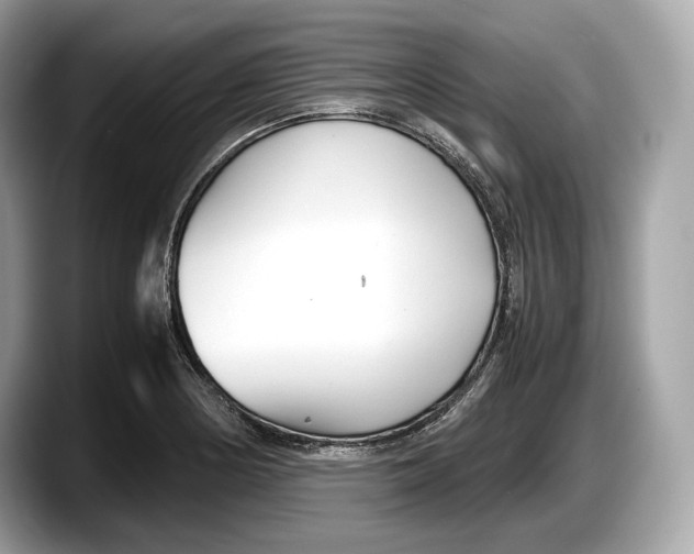 X0000087641178200705311321