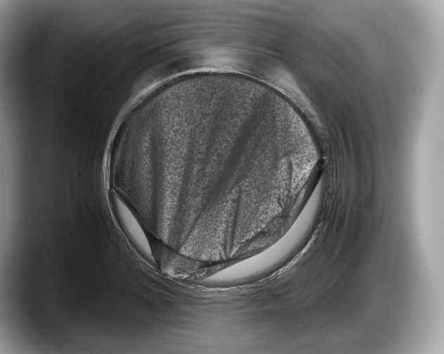 X0000087641180200705311321