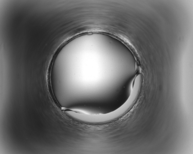 X0000087641181200705311321