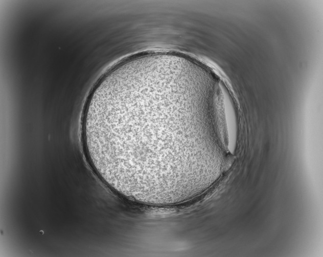 X0000087641183200705311321