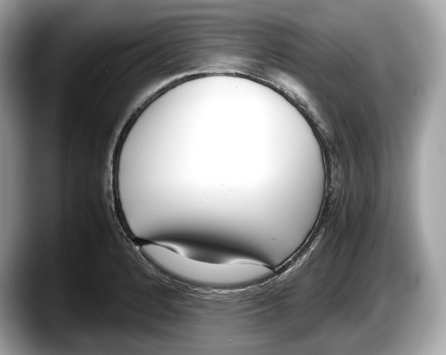 X0000087641184200705311321