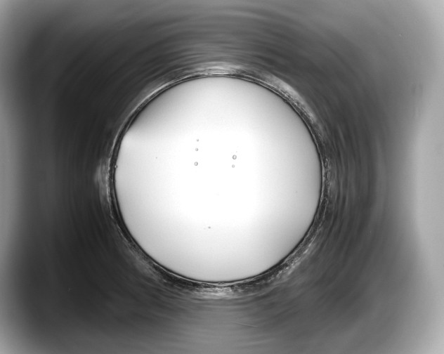 X0000087641186200705311321