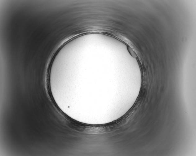 X0000087641187200705311321