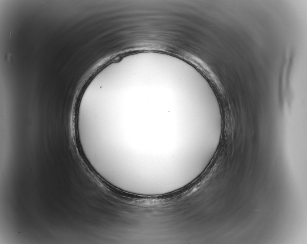 X0000087641188200705311321