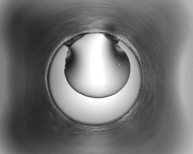 X0000087641189200705311321