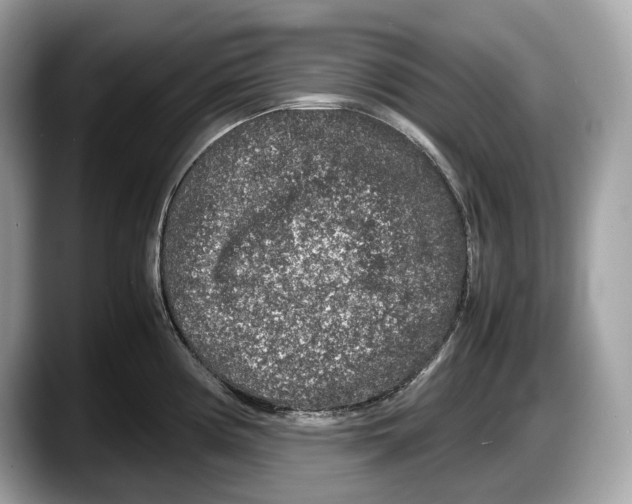 X0000087641194200705311321