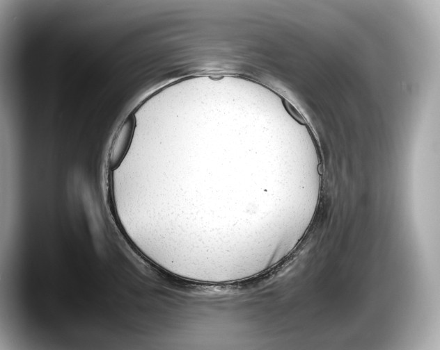 X0000087641195200705311321