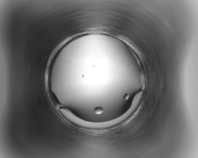 X0000087641196200705311321