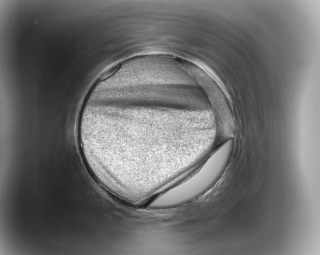 X0000087641197200705311321