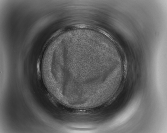 X0000087641198200705311321