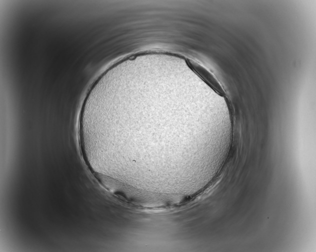 X0000087641199200705311321