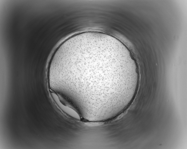 X0000087641200200705311321