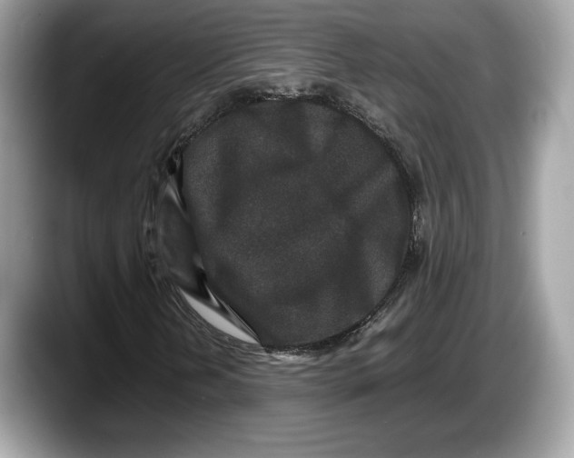 X0000087641202200705311320