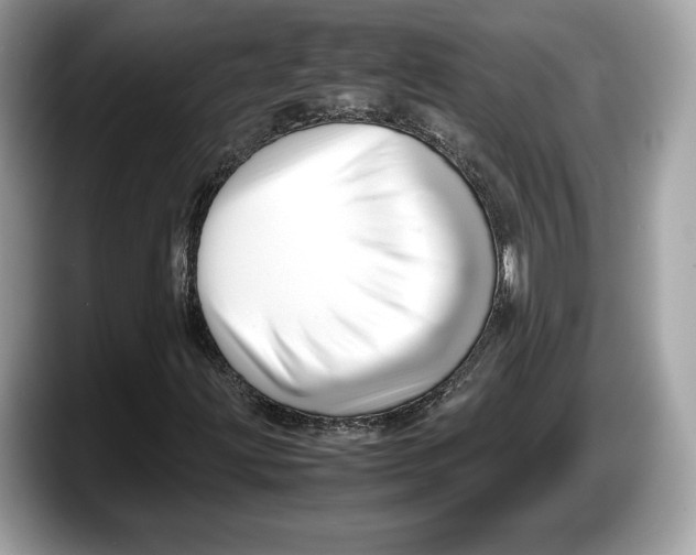 X0000087641203200705311320