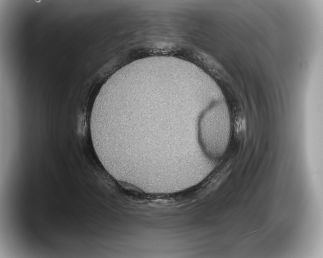 X0000087641204200705311320