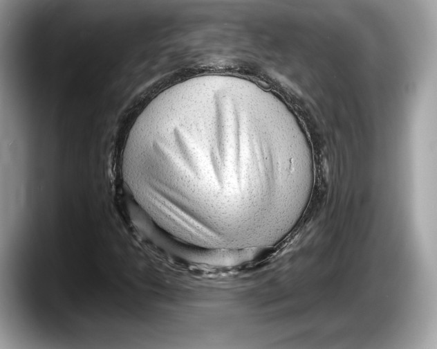 X0000087641206200705311320