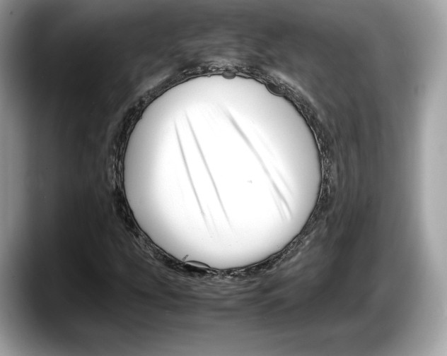 X0000087641207200705311320