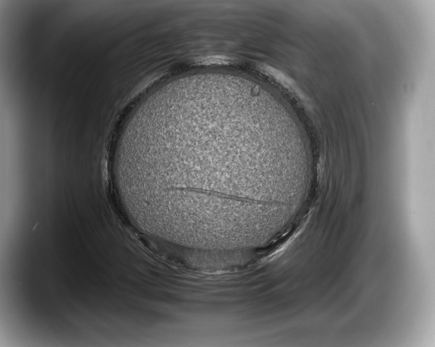 X0000087641209200705311320