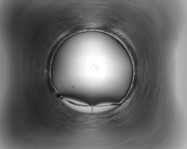 X0000087641210200705311320