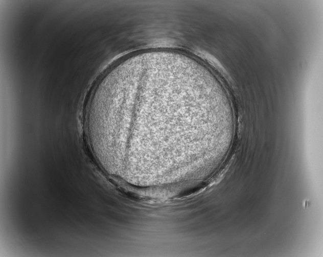 X0000087641212200705311320