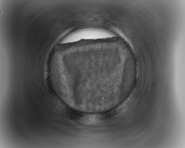 X0000087641213200705311320