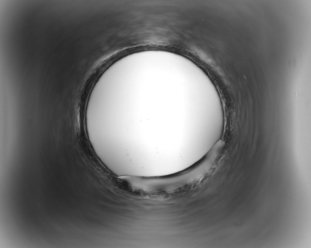 X0000087641214200705311320