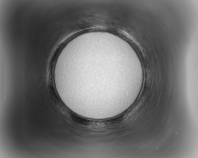 X0000087641215200705311320