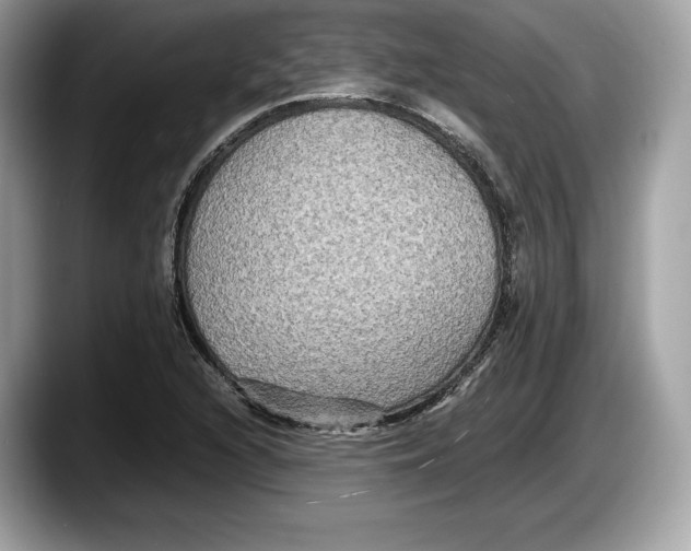 X0000087641216200705311320