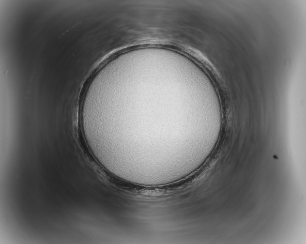 X0000087641220200705311320