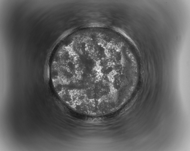 X0000087641221200705311320