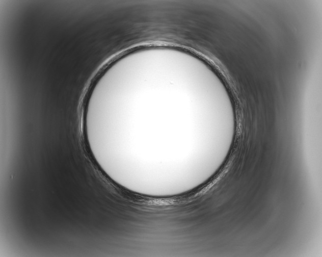 X0000087641224200705311320