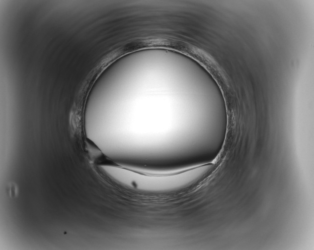 X0000087641225200705311320