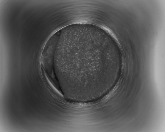 X0000087641226200705311320