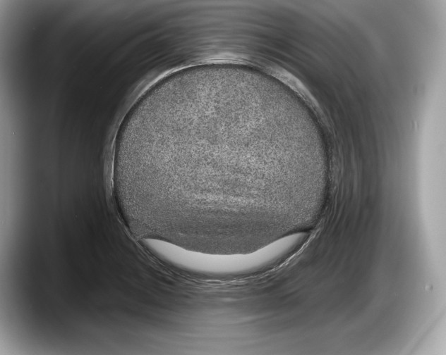 X0000087641228200705311320