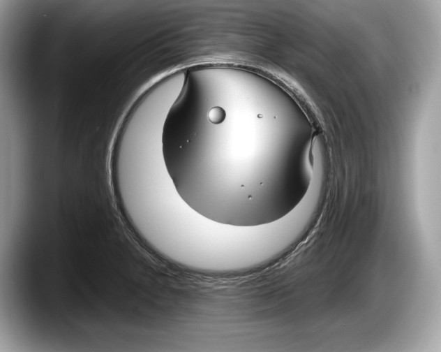 X0000087641230200705311320