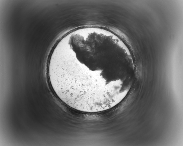 X0000087641231200705311320