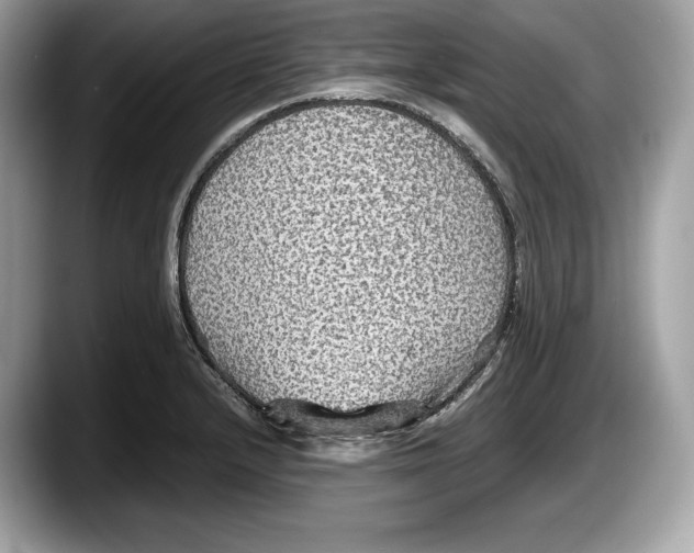 X0000087641232200705311320