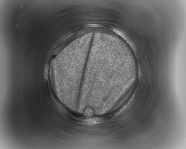 X0000087641233200705311320