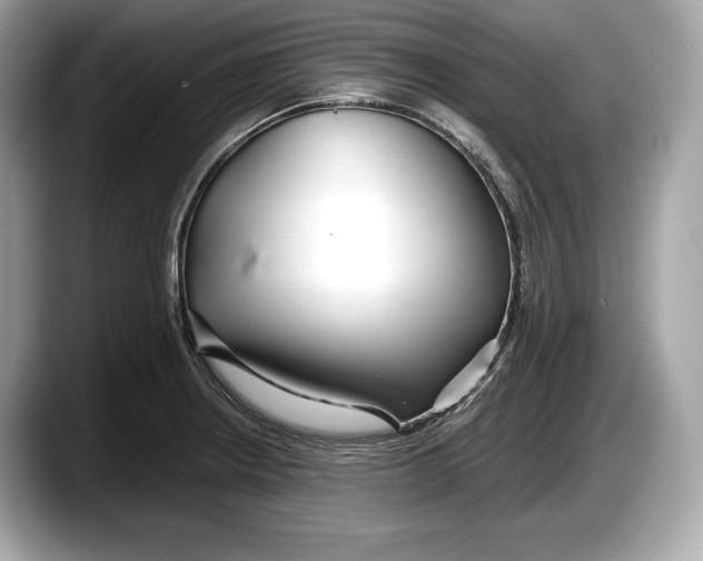 X0000087641234200705311320