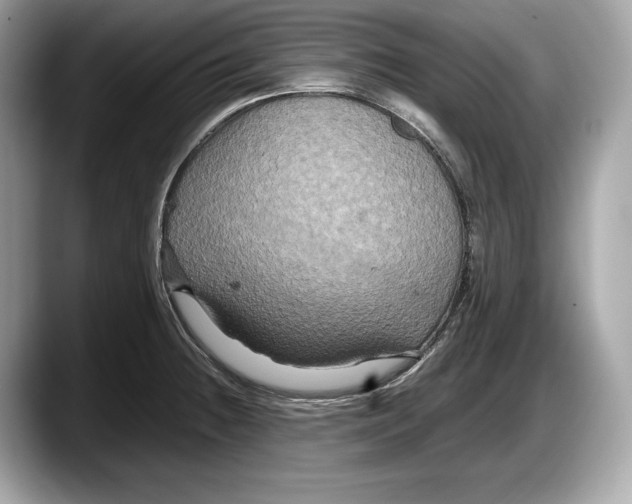 X0000087641236200705311320