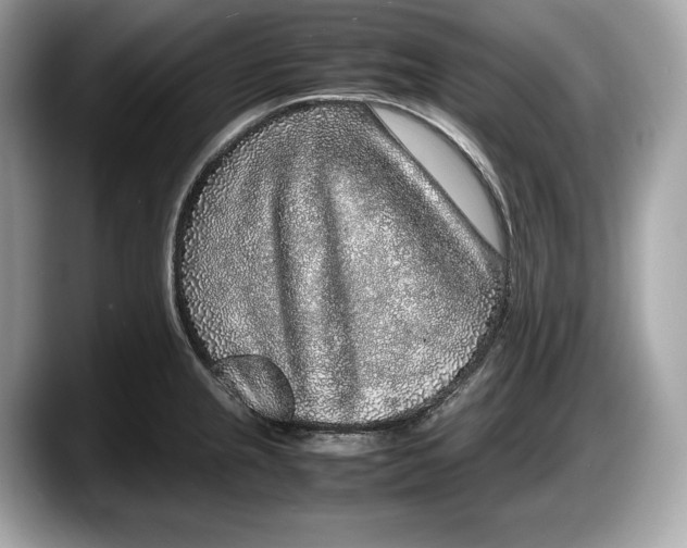 X0000087641237200705311320