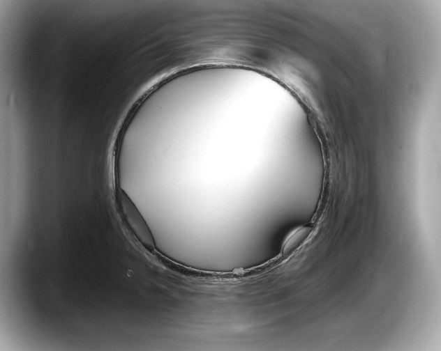 X0000087641238200705311320