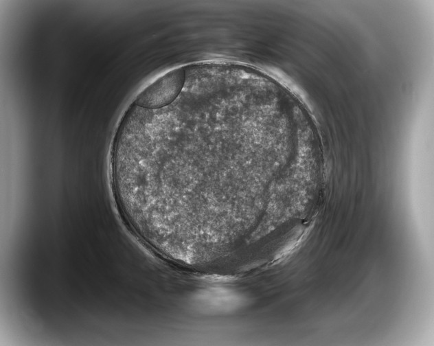 X0000087641239200705311320