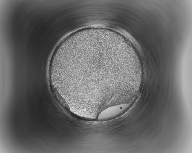 X0000087641240200705311320