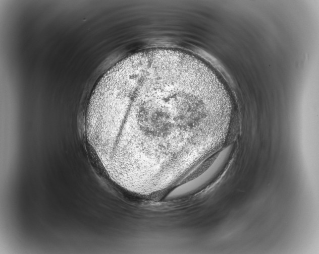 X0000087641241200705311320