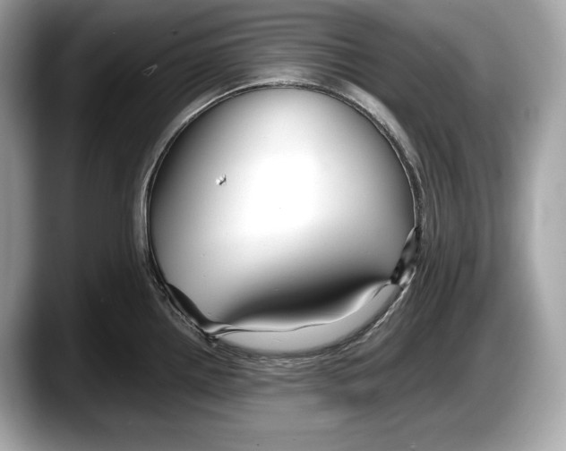 X0000087641242200705311320