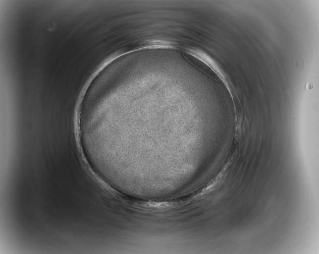 X0000087641243200705311320