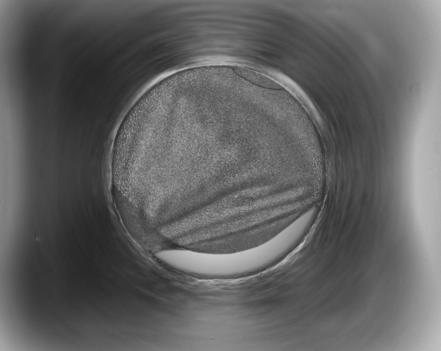 X0000087641244200705311320