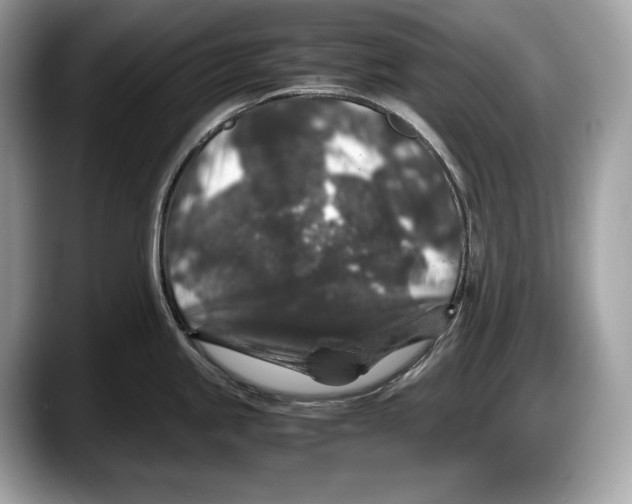 X0000087641245200705311320